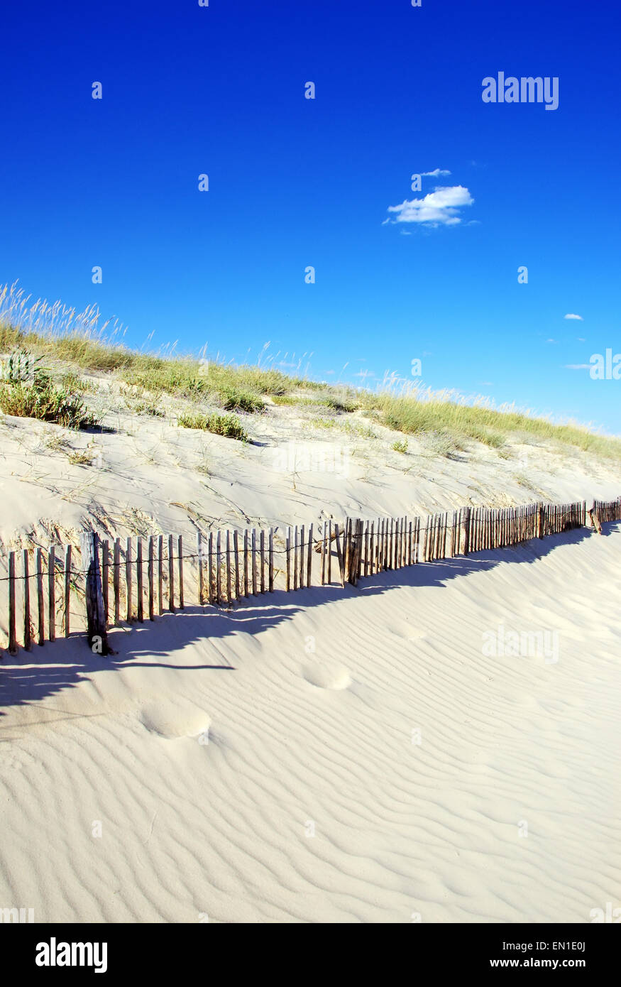 Dune scherma lungo Outer Banks della spiaggia di Algarve Foto Stock