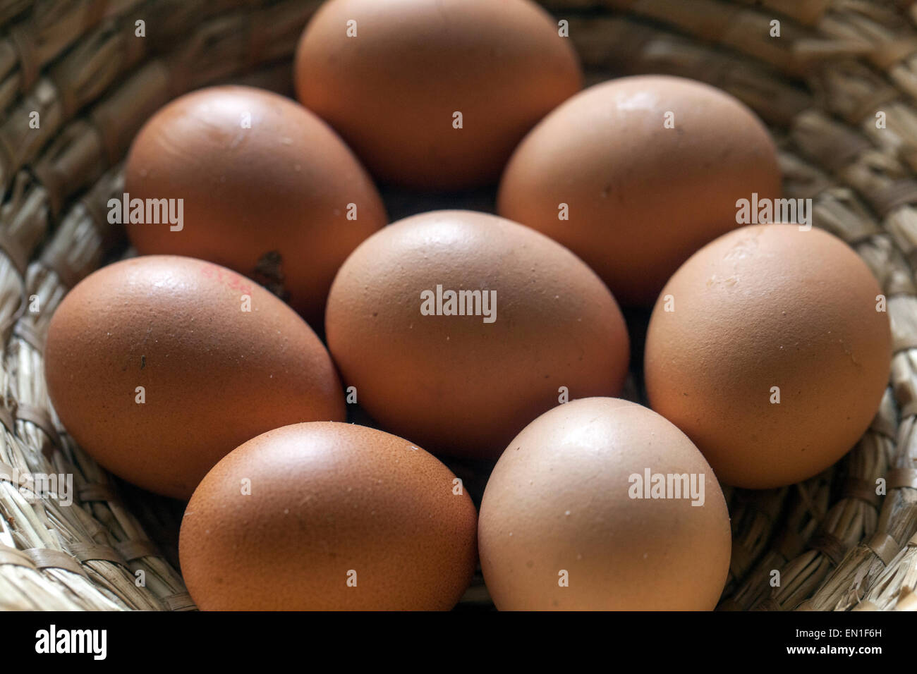 Le uova di gallina in un cestello Foto Stock