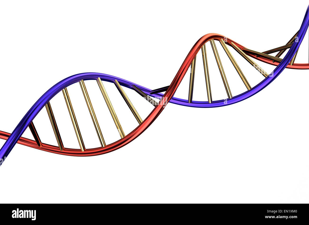 Il DNA isolato su sfondo bianco Foto Stock