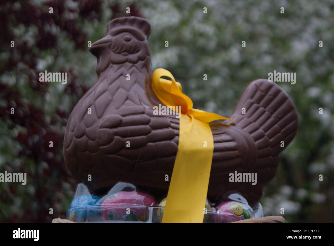 Il pollo a forma di uovo di Pasqua. Foto Stock