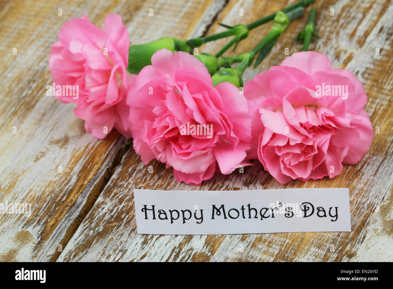 Felice Festa della mamma scheda con i garofani rosa Foto Stock