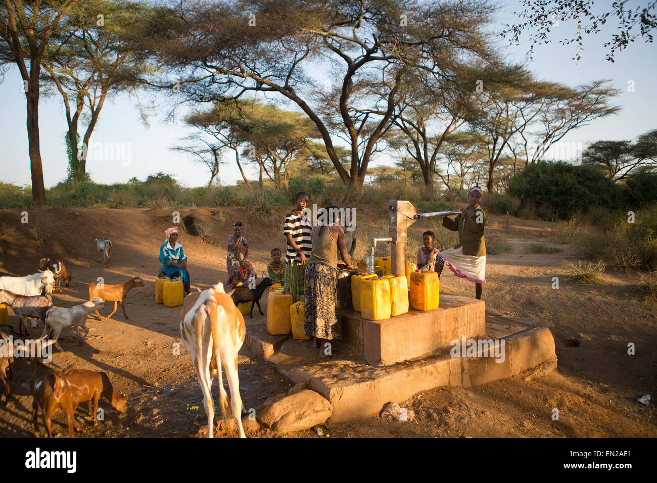 Hamer tribù in Etiopia Foto Stock