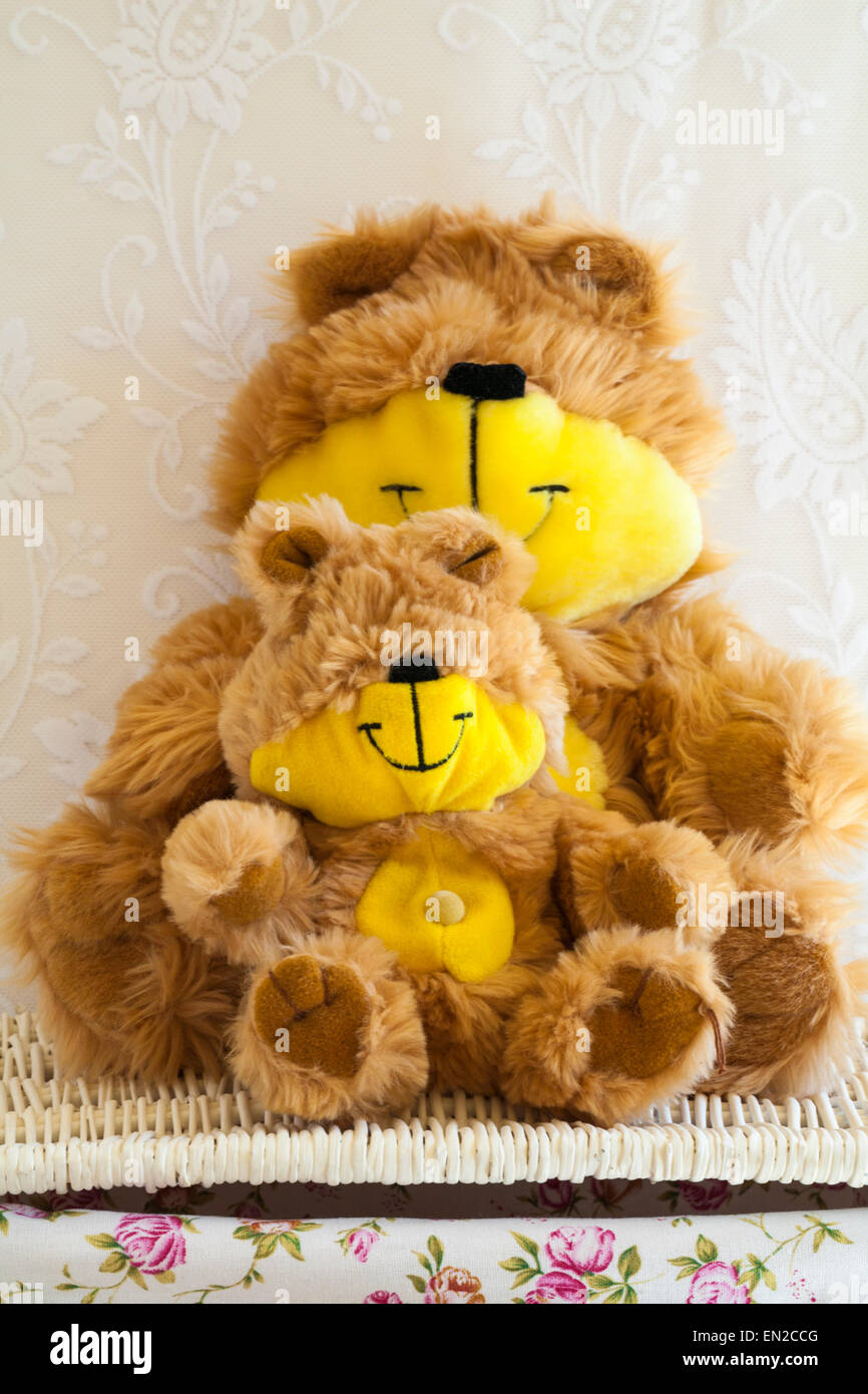 Gli Shaggy portano morbidi giocattoli coccolati seduti su un cesto di vimini - grande e piccolo teddy Foto Stock