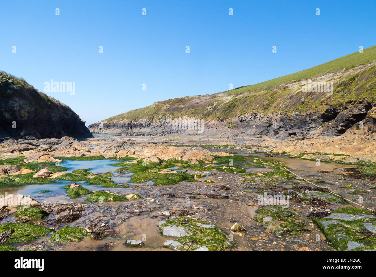 Il Rocky foreshore porto Quin vicino a Port Isaac Cornwall Inghilterra UK Europa Foto Stock