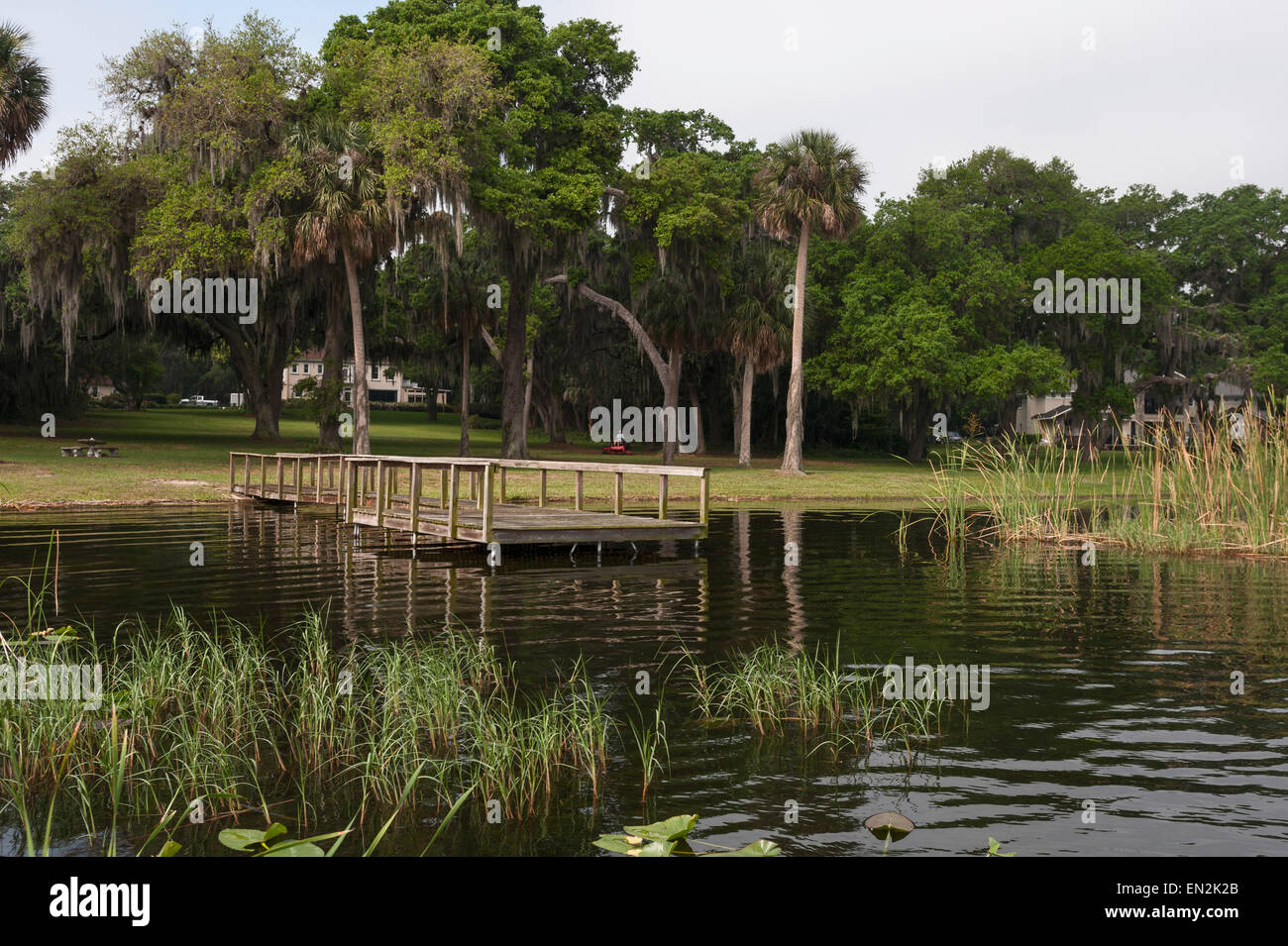 Una casa privata proprietari waterfront dock sul Lago di Griffin in Leesburg, Florida USA Foto Stock