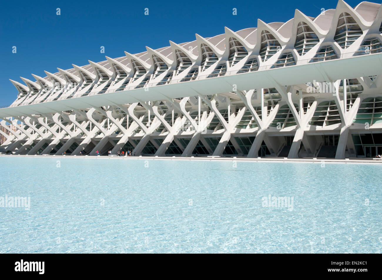 Museo della Scienza del Principe Filippo La Città delle Arti e delle Scienze di Valencia Turia giardino disegnato Santiago Calatrava Félix Candela Foto Stock