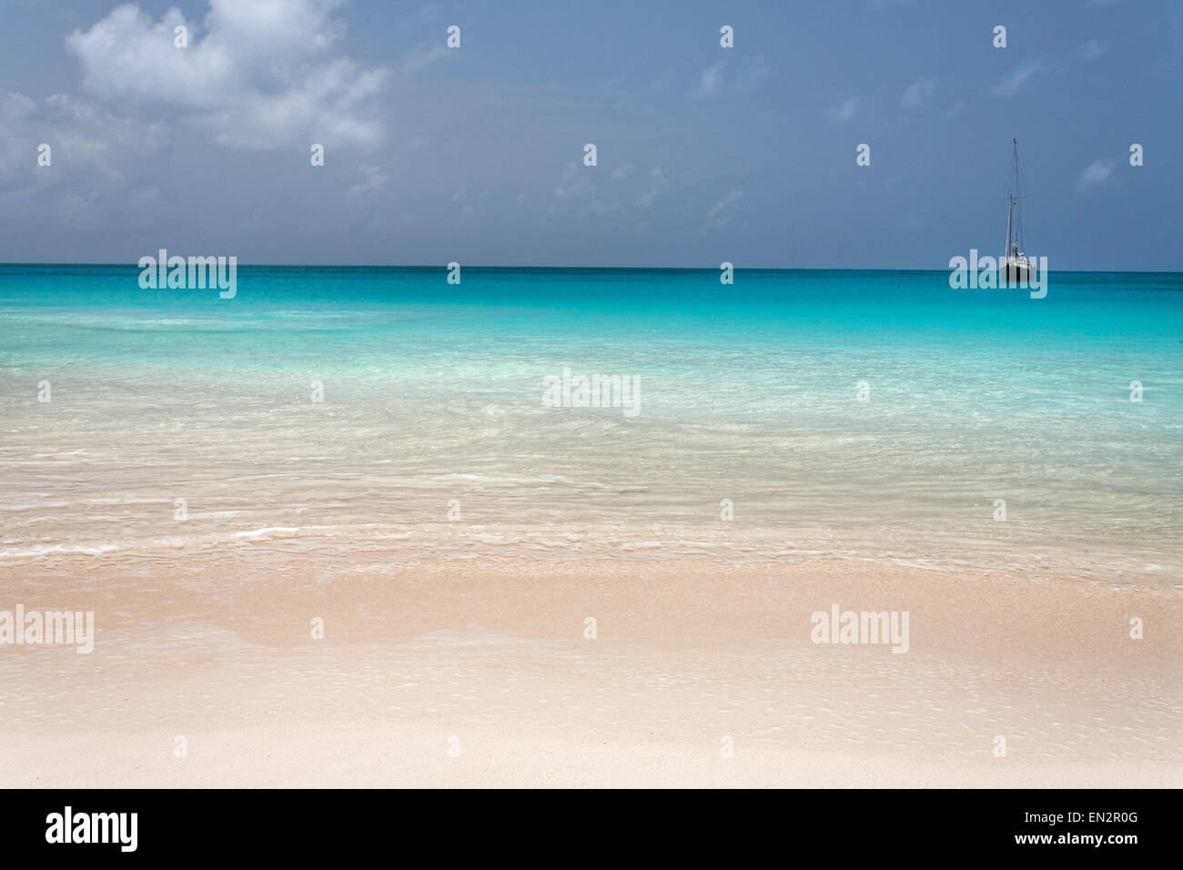 Sabbia Rosa Beach, Barbuda, Isole Sottovento, dei Caraibi Foto Stock