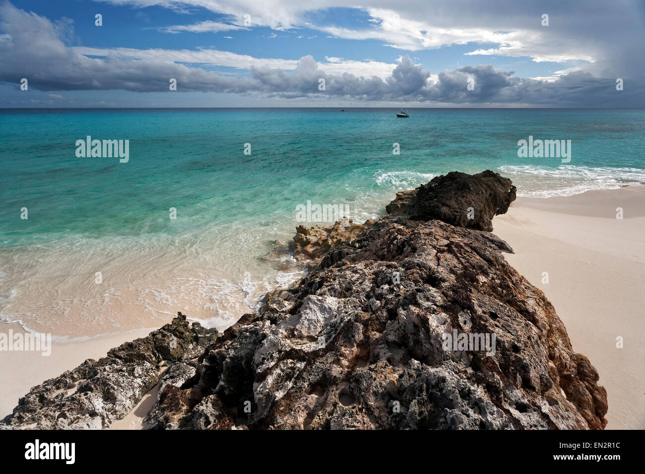 Telecomando e scenic cane, isola di Anguilla Foto Stock