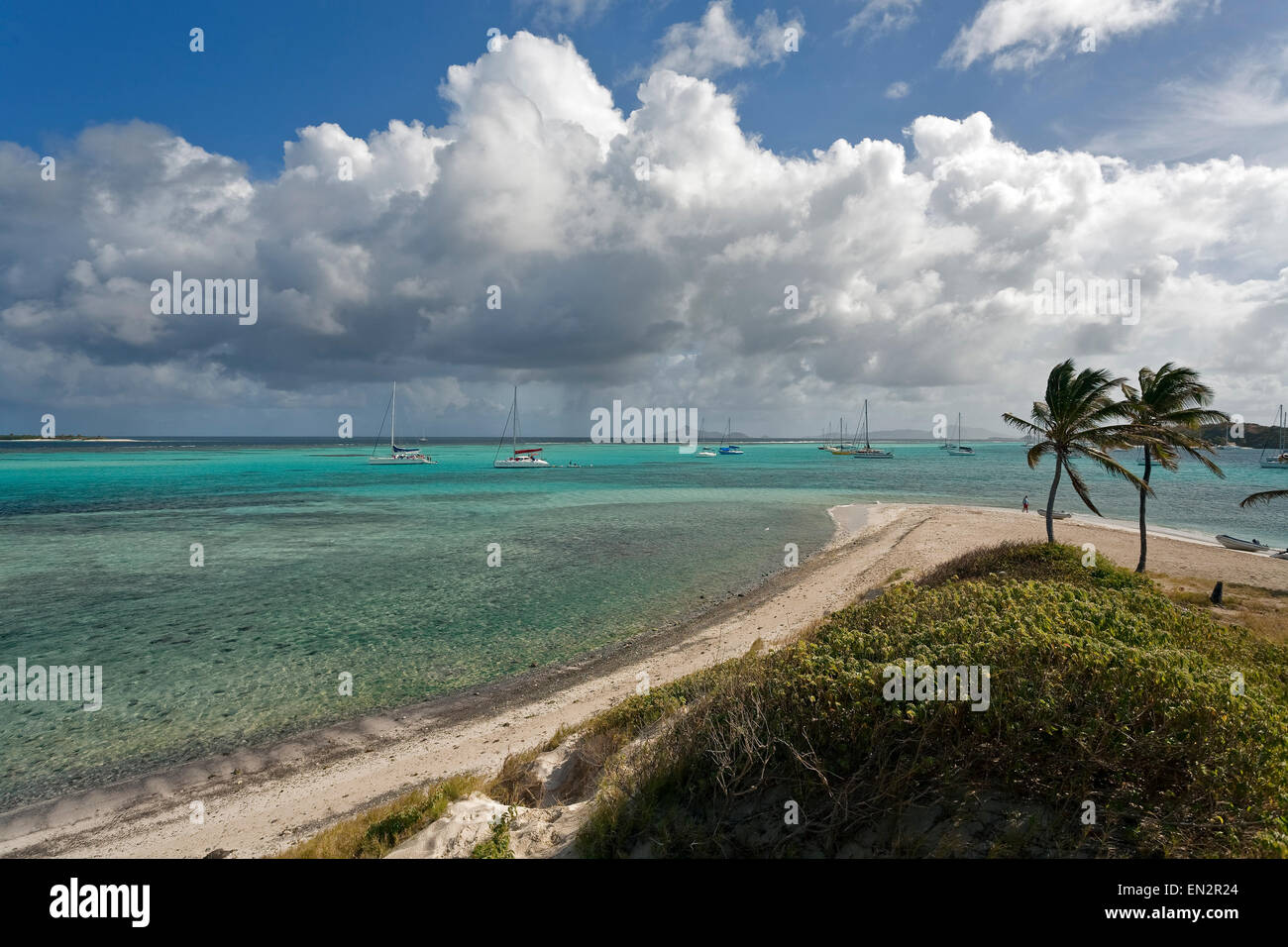 Tobago Cays Marine Park, Grenadine Foto Stock
