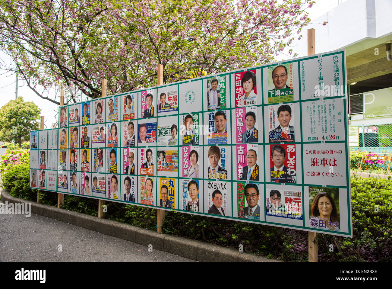 Campagna elettorale poster,Shibuya-Ku,Tokyo Giappone Foto Stock