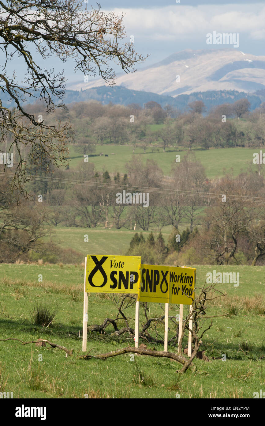 BALFRON, Stirlingshire, Scotland, Regno Unito - 17 Aprile 2015: elezioni generali britanniche - grandi segni di SNP in campo Foto Stock