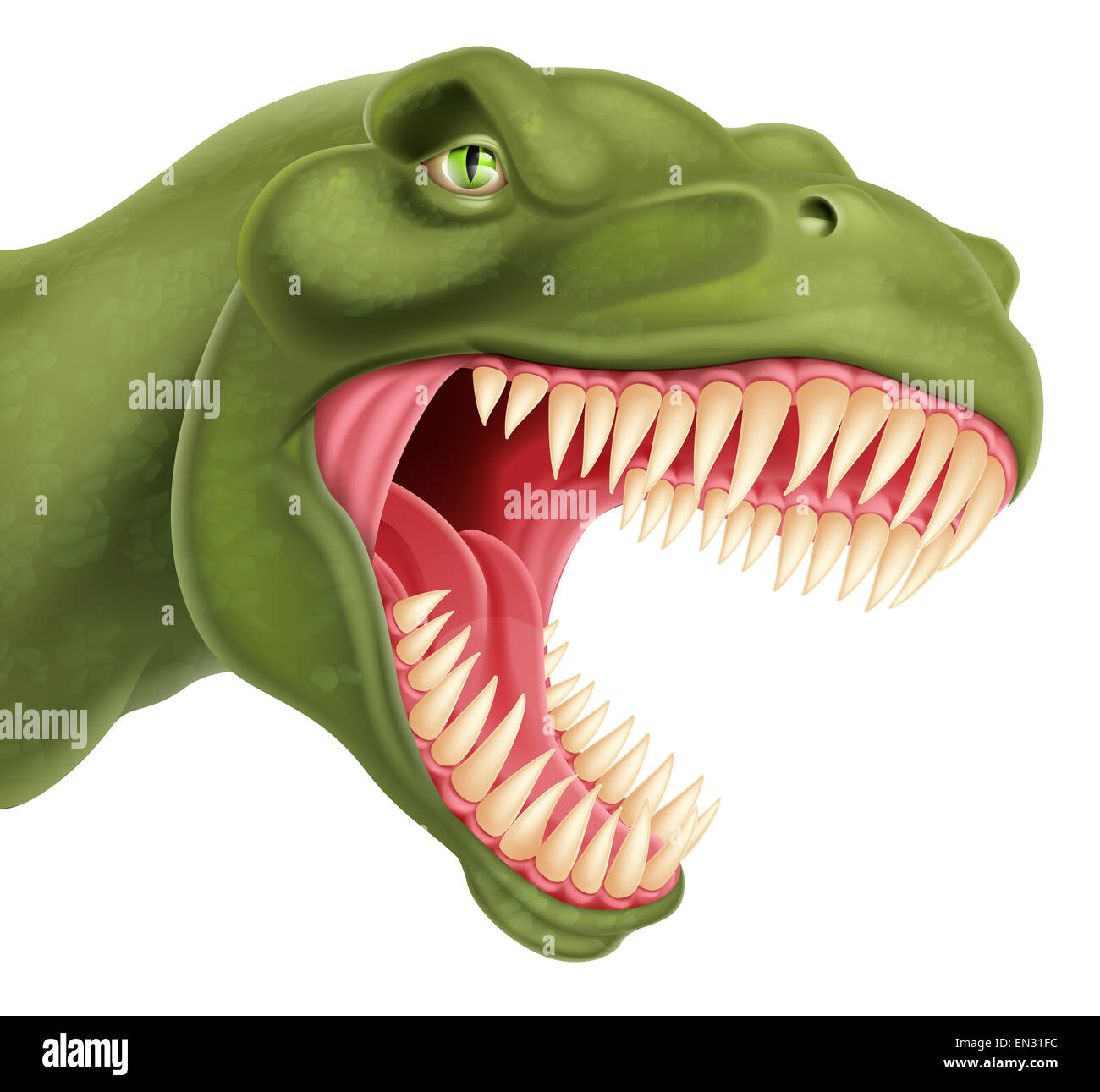 Una illustrazione di una dettagliata T Rex Tyrannosaurus rex testa di dinosauro Foto Stock