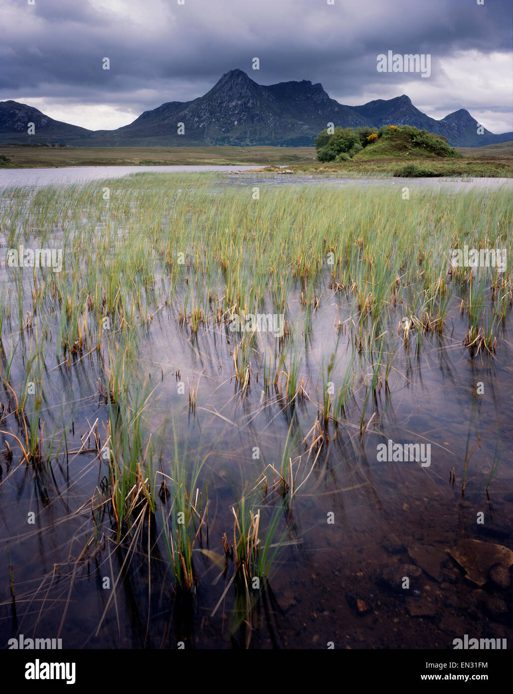 Ben fedele visto da Lochan Hakel, Lingua, Sutherland, Scozia UK. Foto Stock