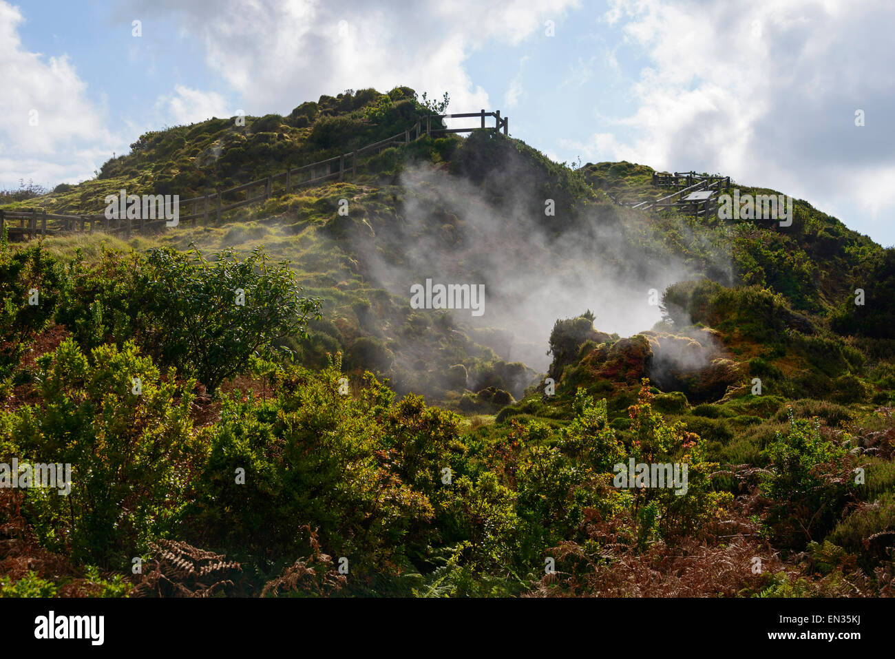 Le fumarole, Furnas de Enxofre, Terceira, Azzorre, Portogallo Foto Stock