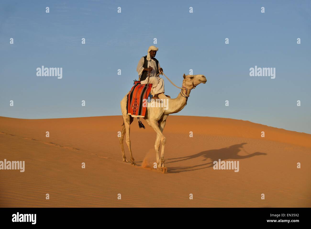 Uomo a dorso di cammello, Meroë, la Nubia, Fiume Nilo membro, Sudan Foto Stock
