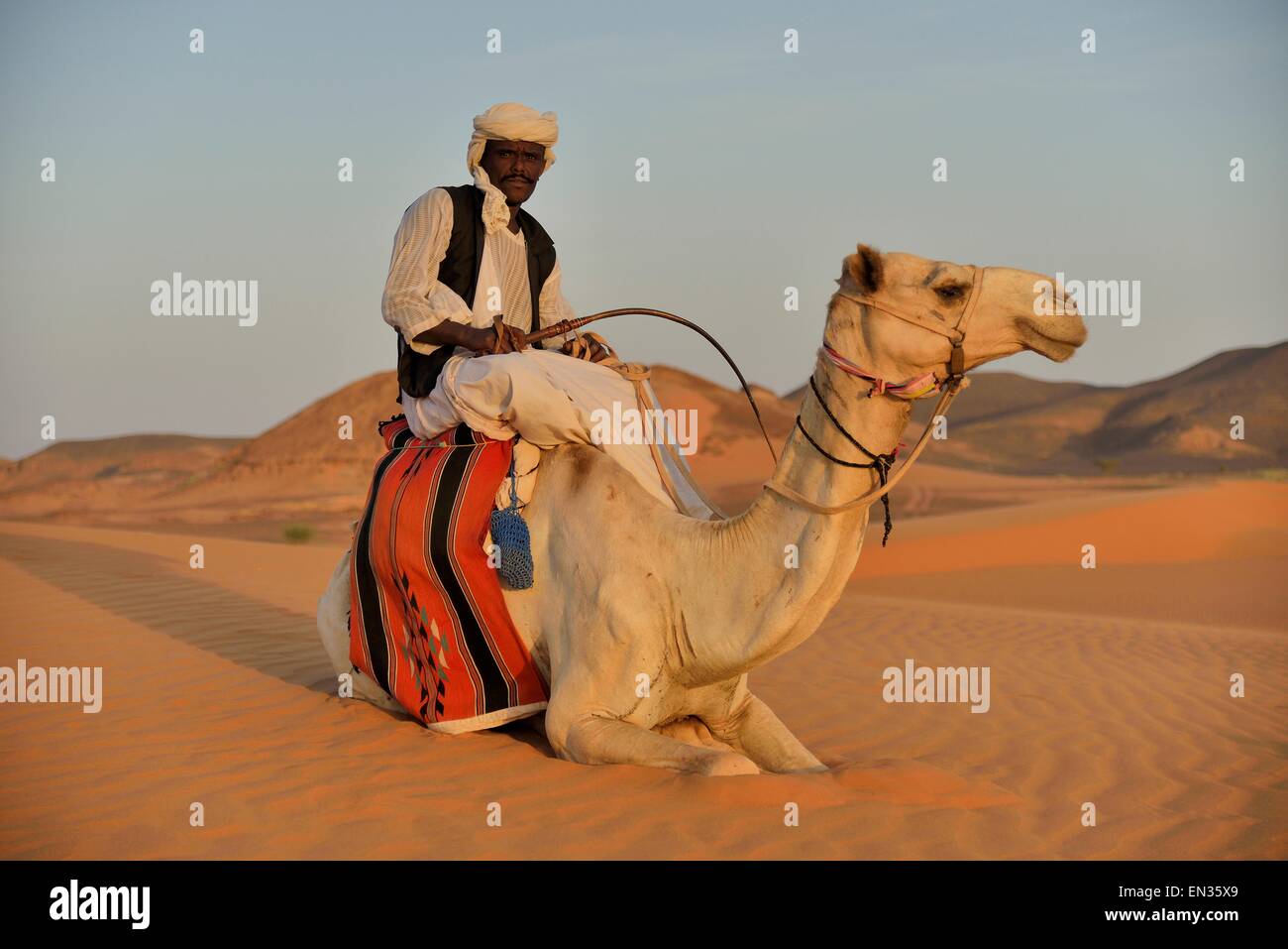 Uomo a dorso di cammello, Meroë, la Nubia, Fiume Nilo membro, Sudan Foto Stock
