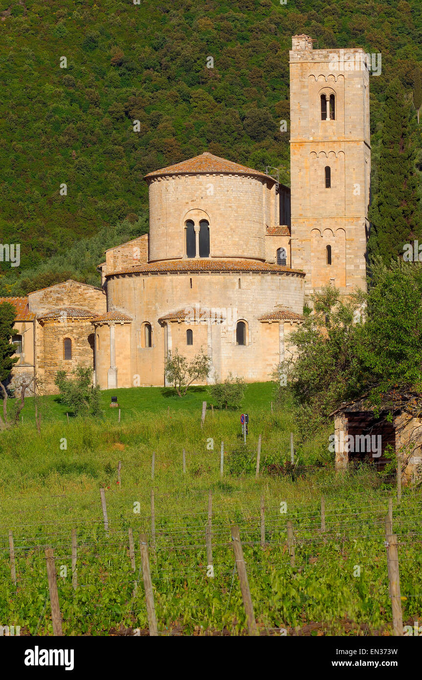 Abbazia di Sant'Antimo nel paesaggio toscano, Montalcino, Castelnuovo dell'Abate, in provincia di Siena, Toscana, Italia Foto Stock