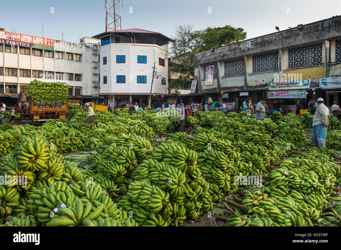 Il mercato della banana, Broadway Market, Ernakulum, India Foto Stock