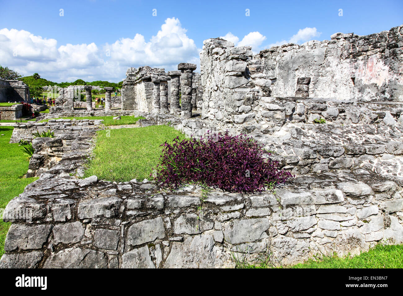 Tulum, resti il sito di Maya Maya della civiltà antica città murata sulla penisola dello Yucatan, Quintana Roo, Messico Foto Stock