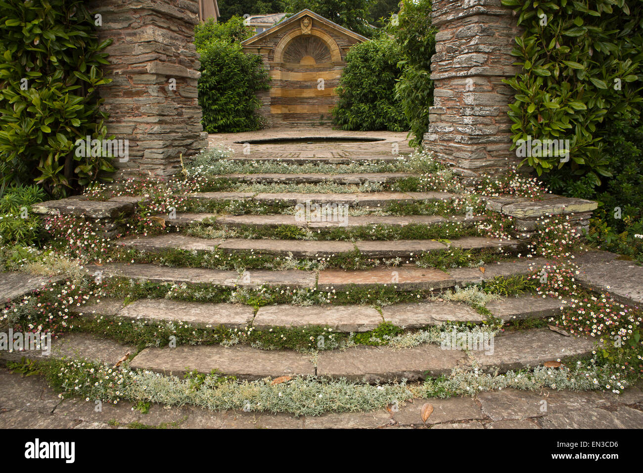 Regno Unito, Inghilterra, Somerset, Cheddon Fitzpaine, Hestercombe Gardens, di gradini di pietra piantati con rosa e bianco margherite Foto Stock