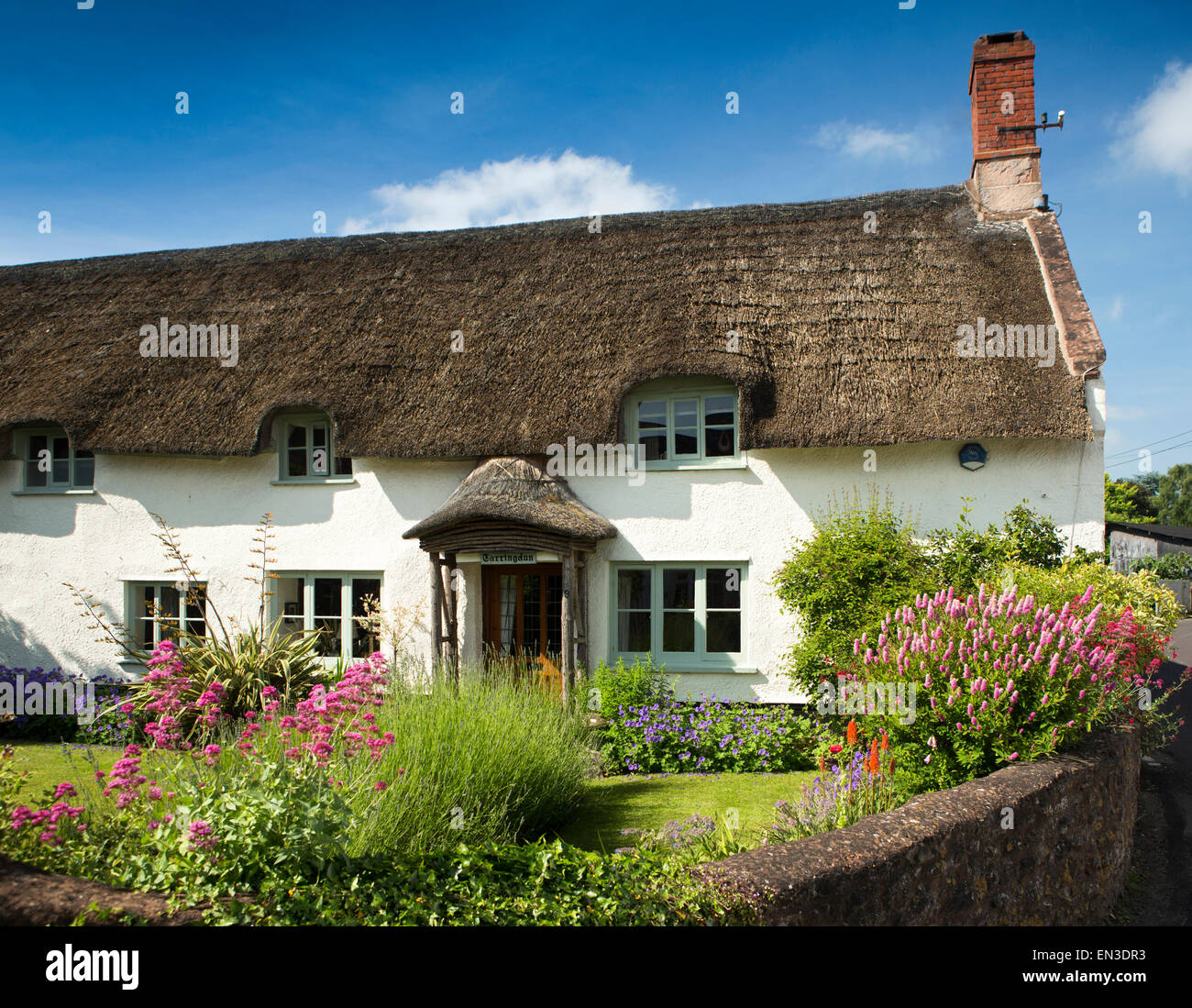 Regno Unito, Inghilterra, Somerset, Taunton, Vescovi Lydeard, idilliaco cottage con tetto di paglia di Farringdon con colorfully coltivata garden Foto Stock