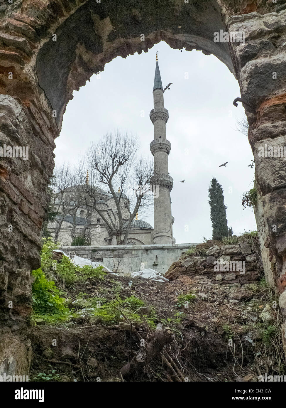 La Moschea Blu, Istanbul, Turchia Foto Stock