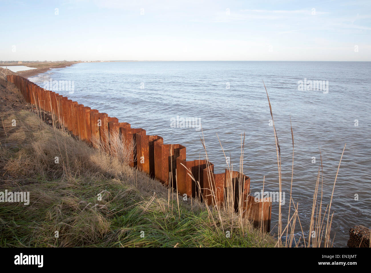 Acciaio palancole costruito come una difesa costiera rapida erosione costa del Mare del Nord, Est Lane, Bawdsey, Suffolk, Inghilterra, Regno Unito Foto Stock