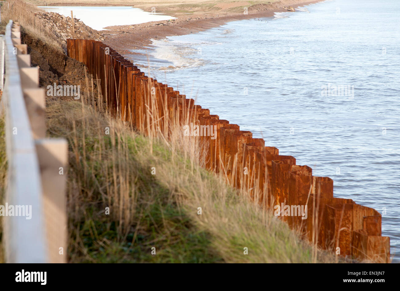 Acciaio palancole costruito come una difesa costiera rapida erosione costa del Mare del Nord, Est Lane, Bawdsey, Suffolk, Inghilterra, Regno Unito Foto Stock