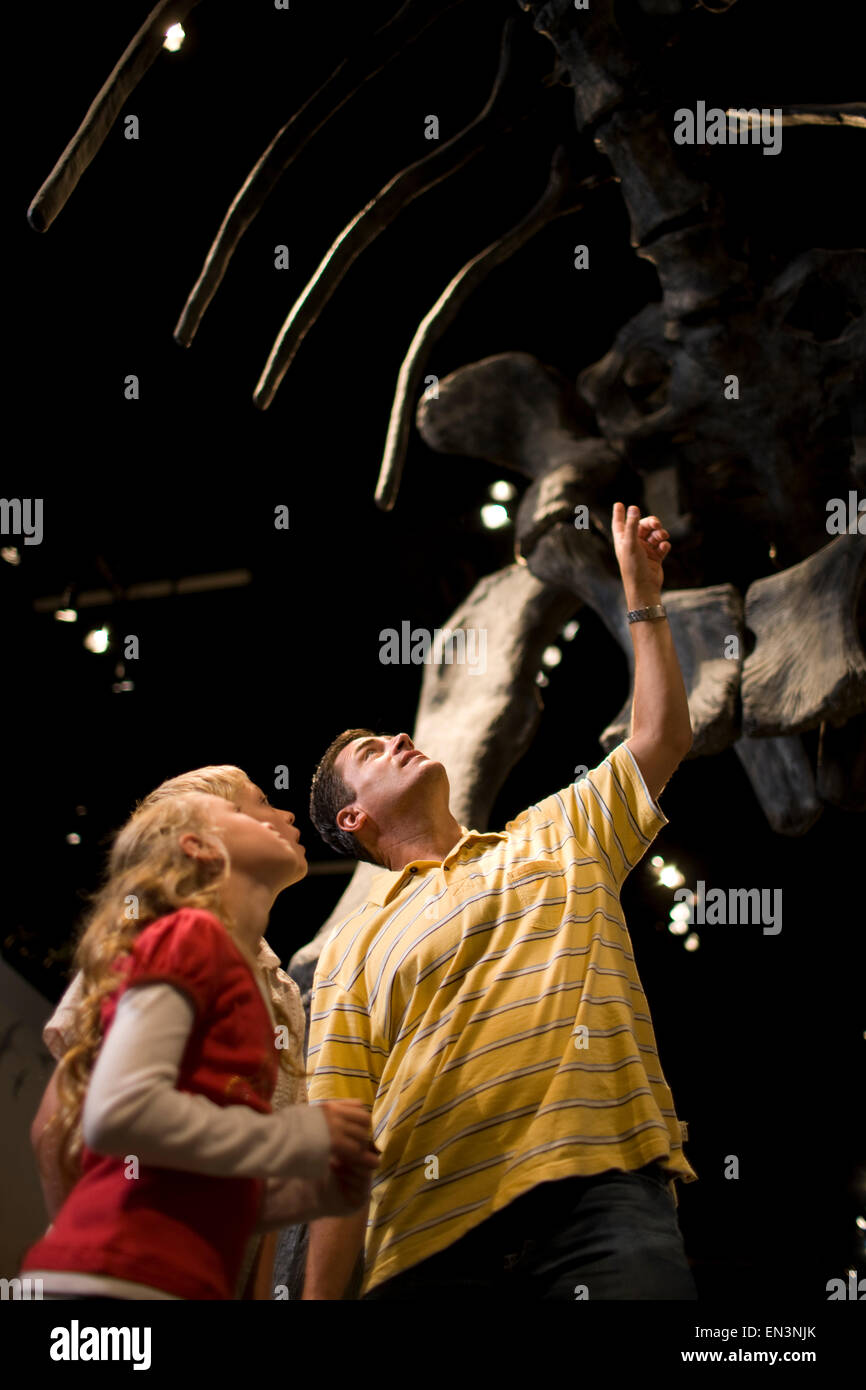 Stati Uniti d'America, Utah, Lehi, padre guardando dinosauro con bambini (8-11) in museo Foto Stock