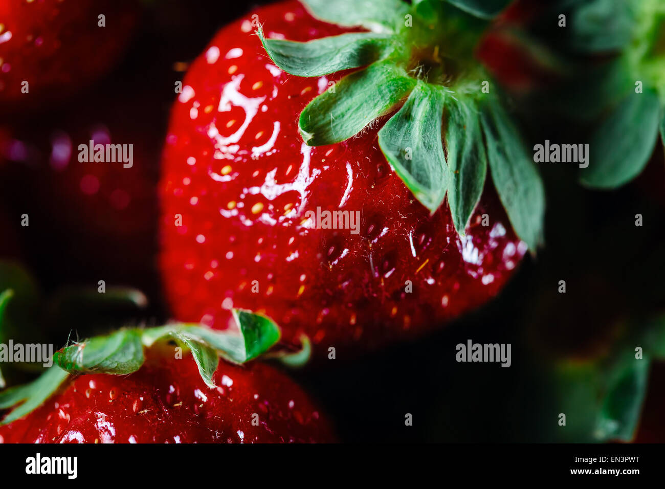 Fragole mature close up. Macro estreme. Messa a fuoco selettiva. Profondità di campo. Foto Stock