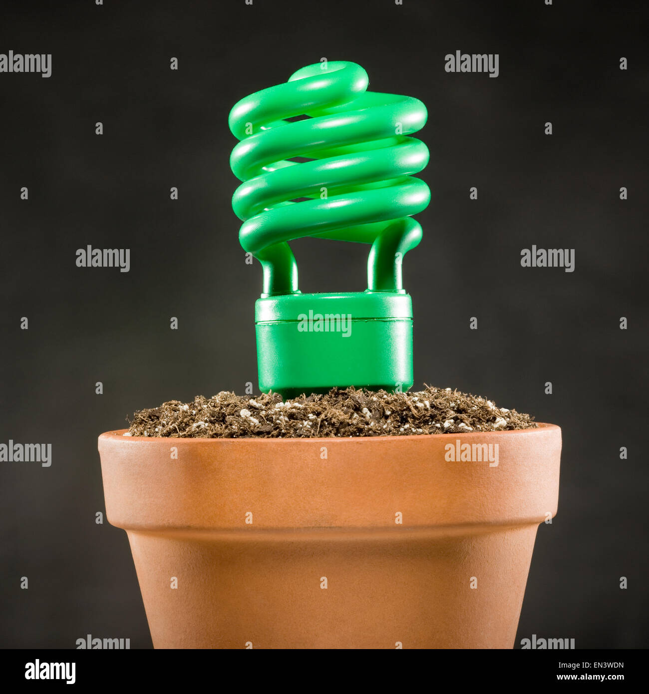 Lampadina della luce piantato in un vaso di terra Foto Stock