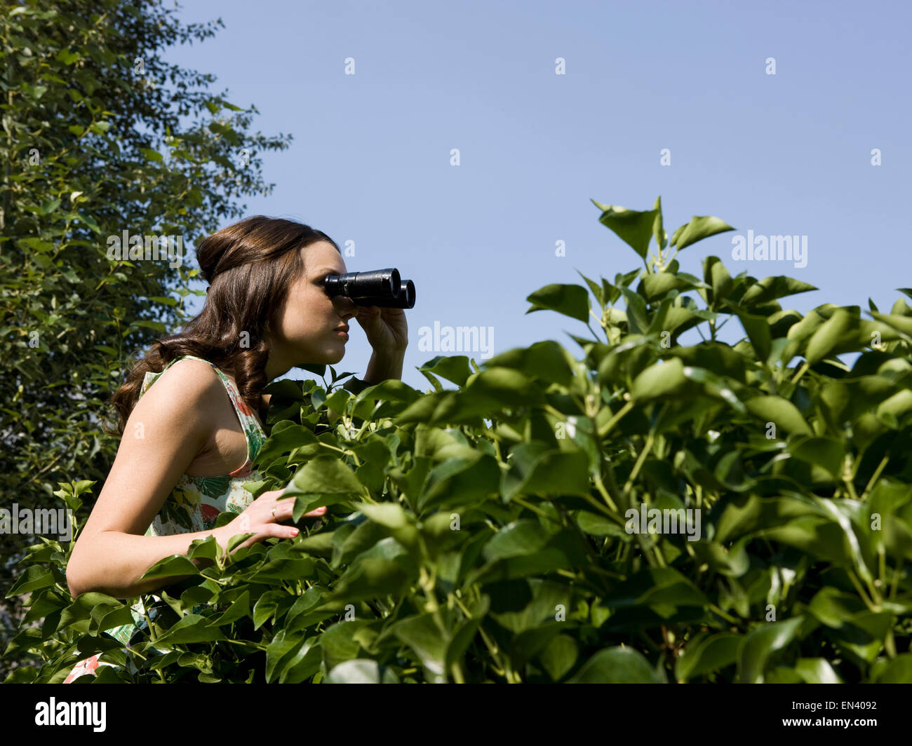 Donna che guarda su una siepe con il binocolo Foto Stock