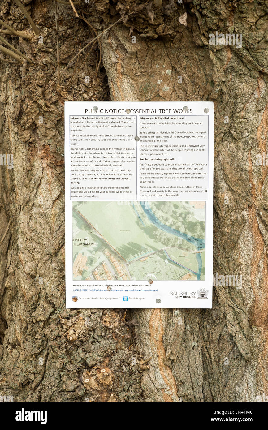 Informazione del pubblico avviso con mappa dettagliata inchiodati ad albero Foto Stock