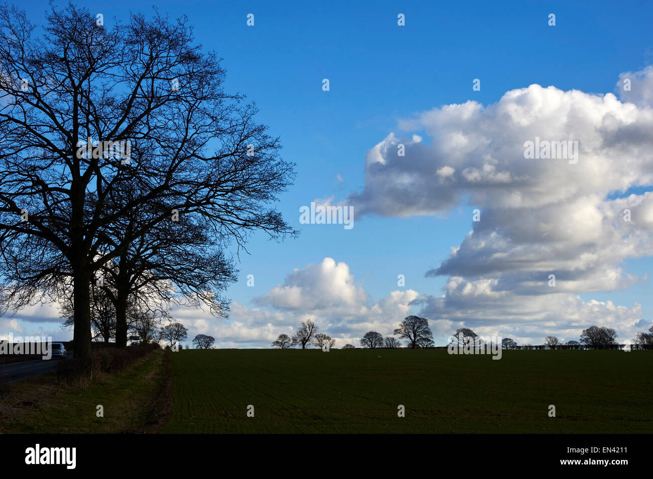 Straordinarie formazioni di cloud, a est di Ripon, North Yorkshire, nell'Inghilterra del Nord, Regno Unito Foto Stock