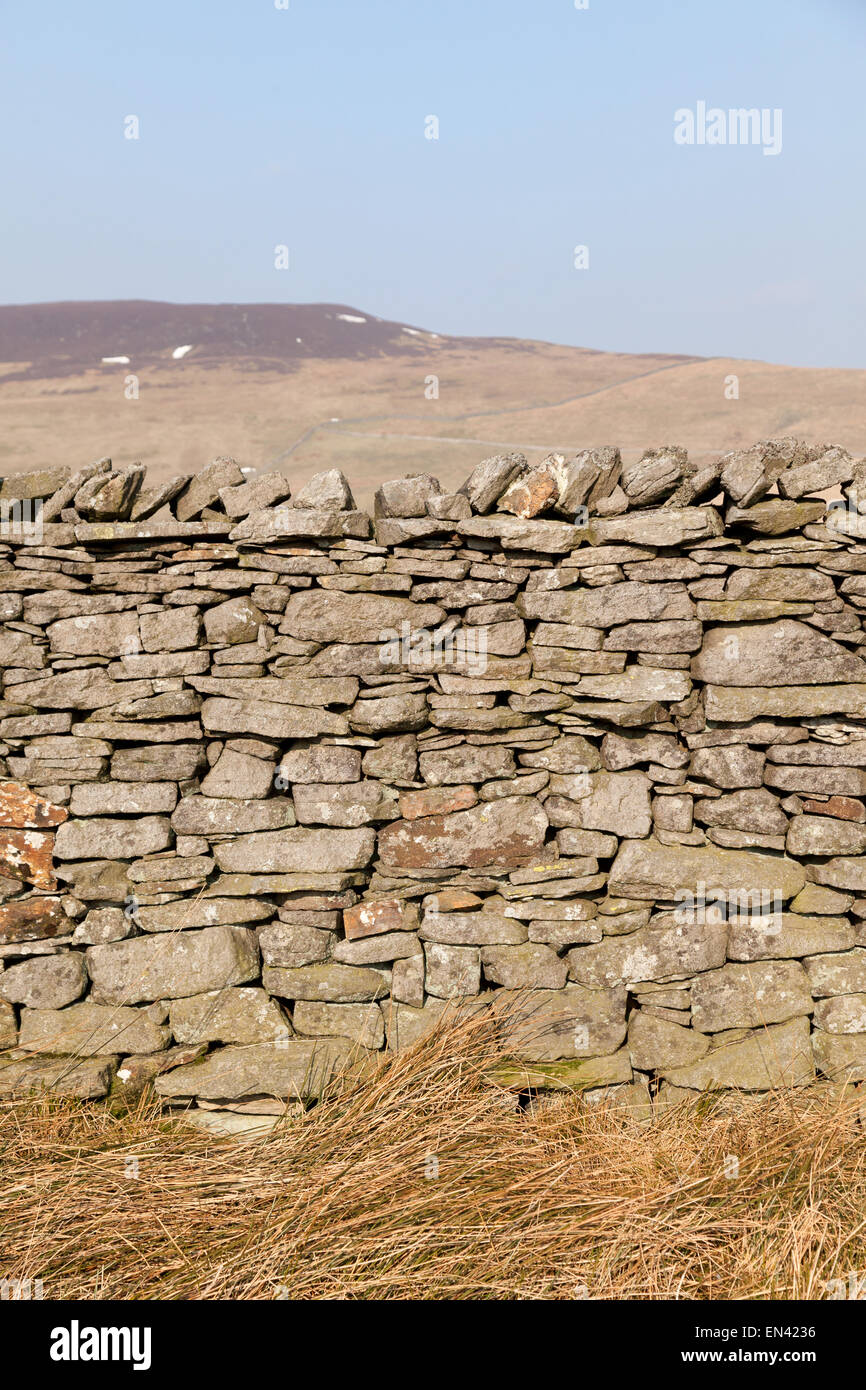 In pietra a secco Struttura di parete, North Yorkshire Dales, Yorkshire, Inghilterra, Regno Unito Foto Stock
