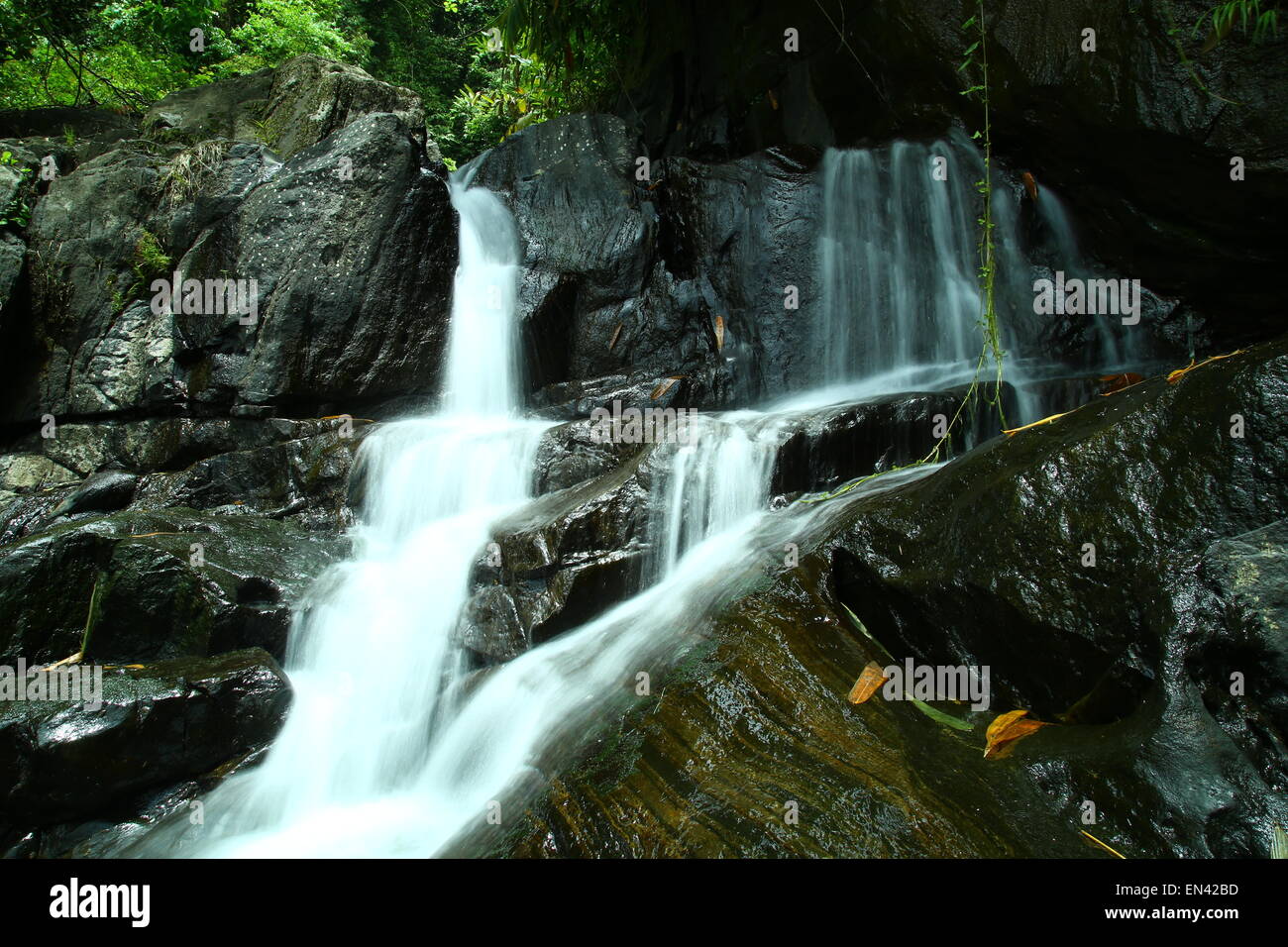 La cascata Foto Stock