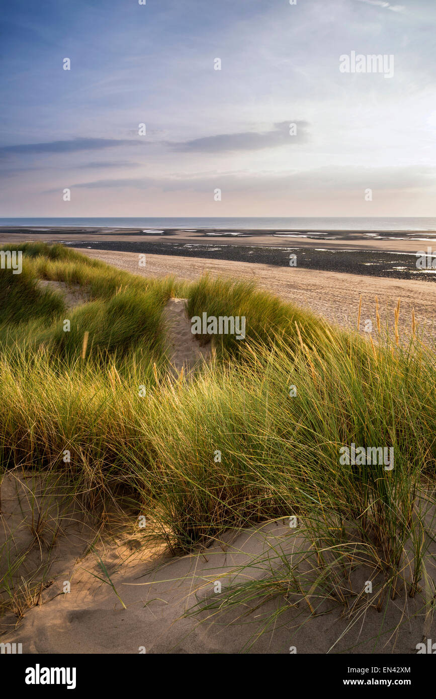 Sera paesaggio estivo oltre grassy dune di sabbia sulla spiaggia Foto Stock
