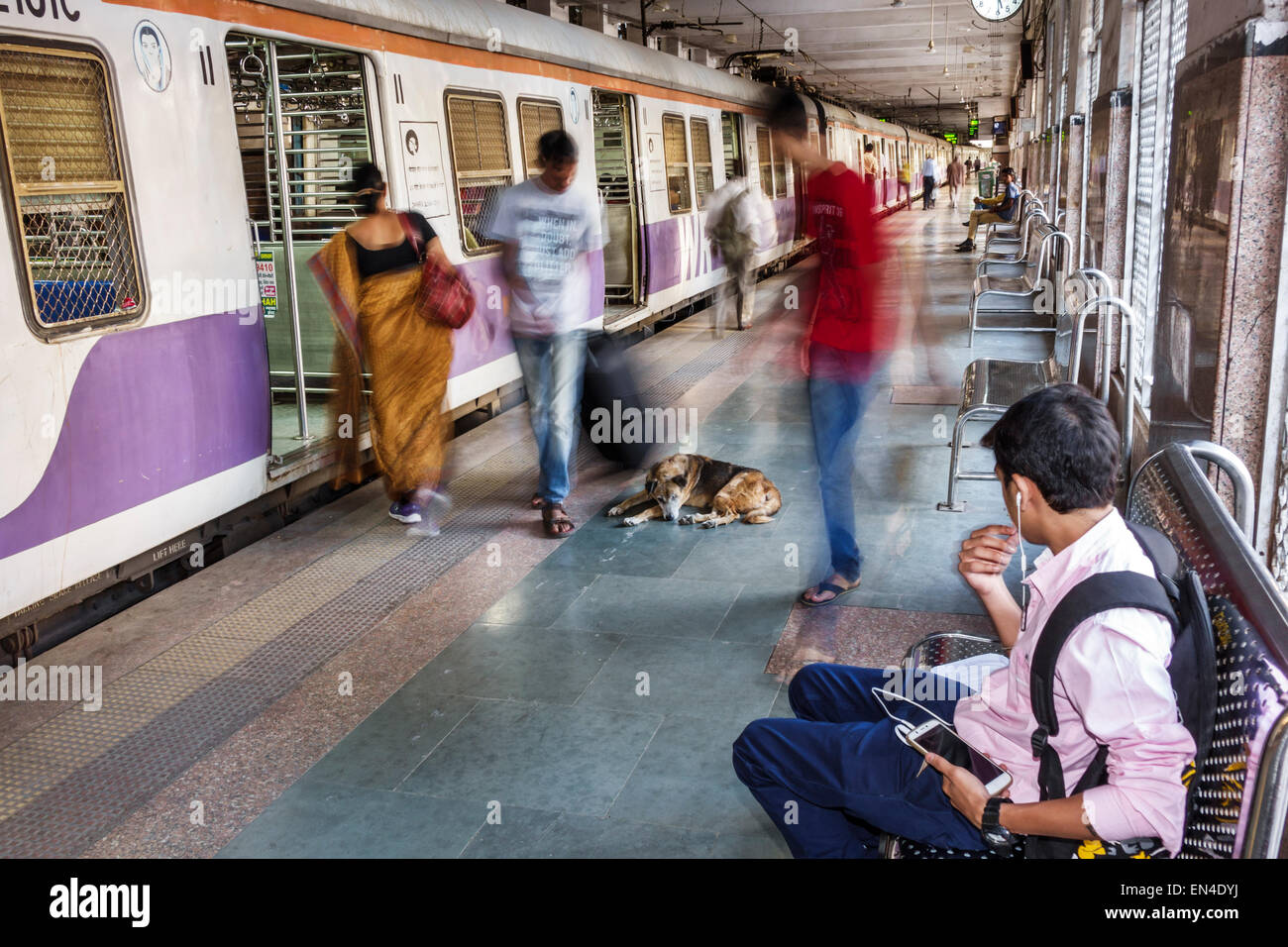 Mumbai India,Indian Asian,Churchgate Railway Station,Western Line,treno,trasporto pubblico,piattaforma,abbandonati cani senza tetto senza tetto senza tetto,visitatori della strada Foto Stock