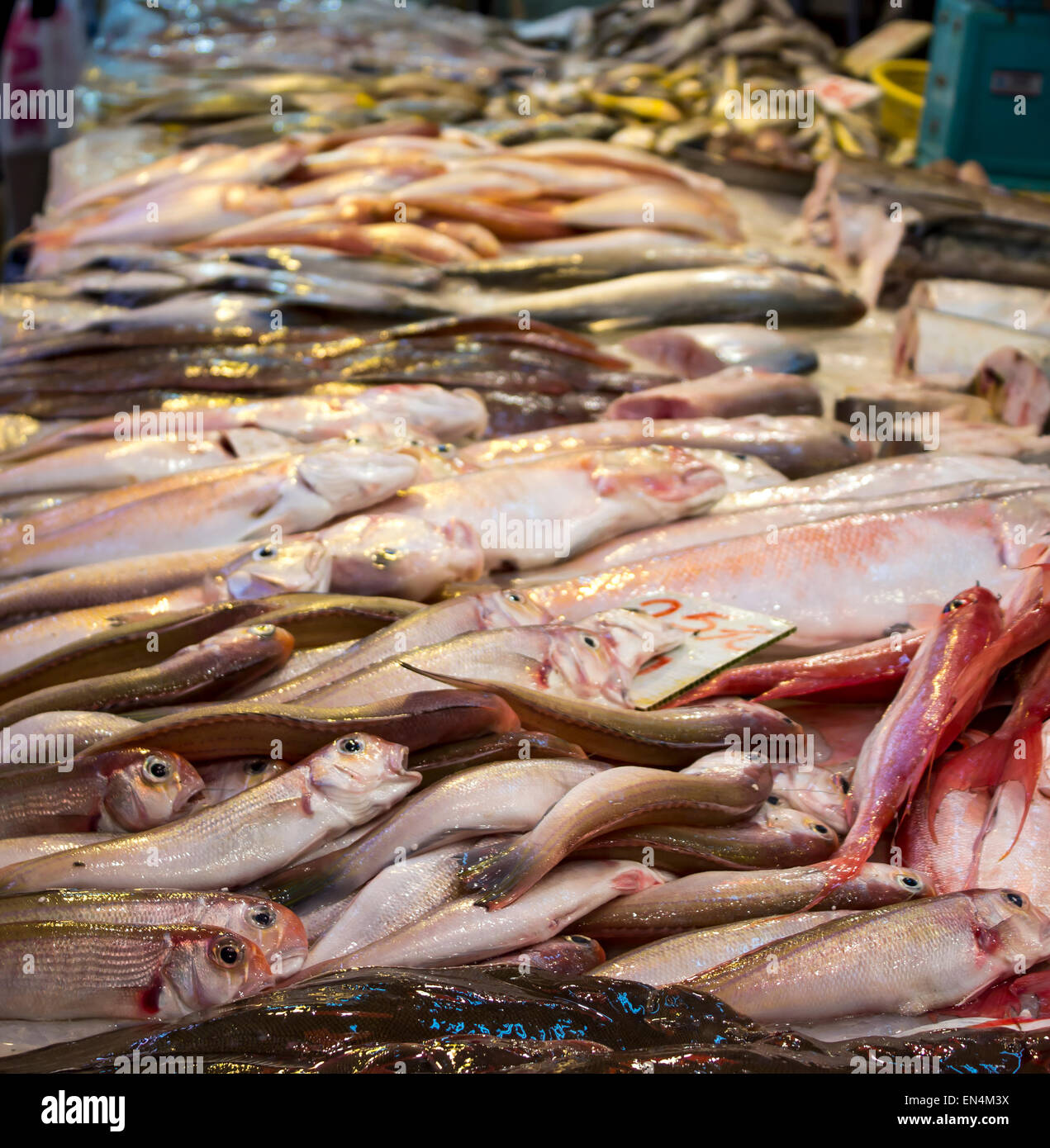 Mercato umido Hong Kong Cina saltando di pesci vivi Vendita umido Foto Stock