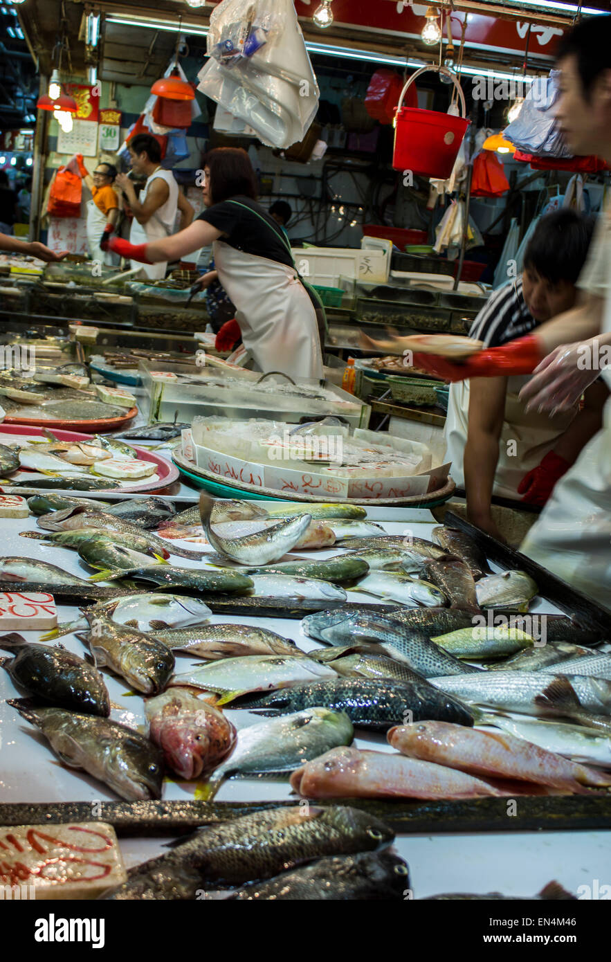 Mercato umido Hong Kong Cina pesci vivi Vendita wet jumping viscido acquisto vendita di turisti sacco sacco comprare cibo asiatico Foto Stock