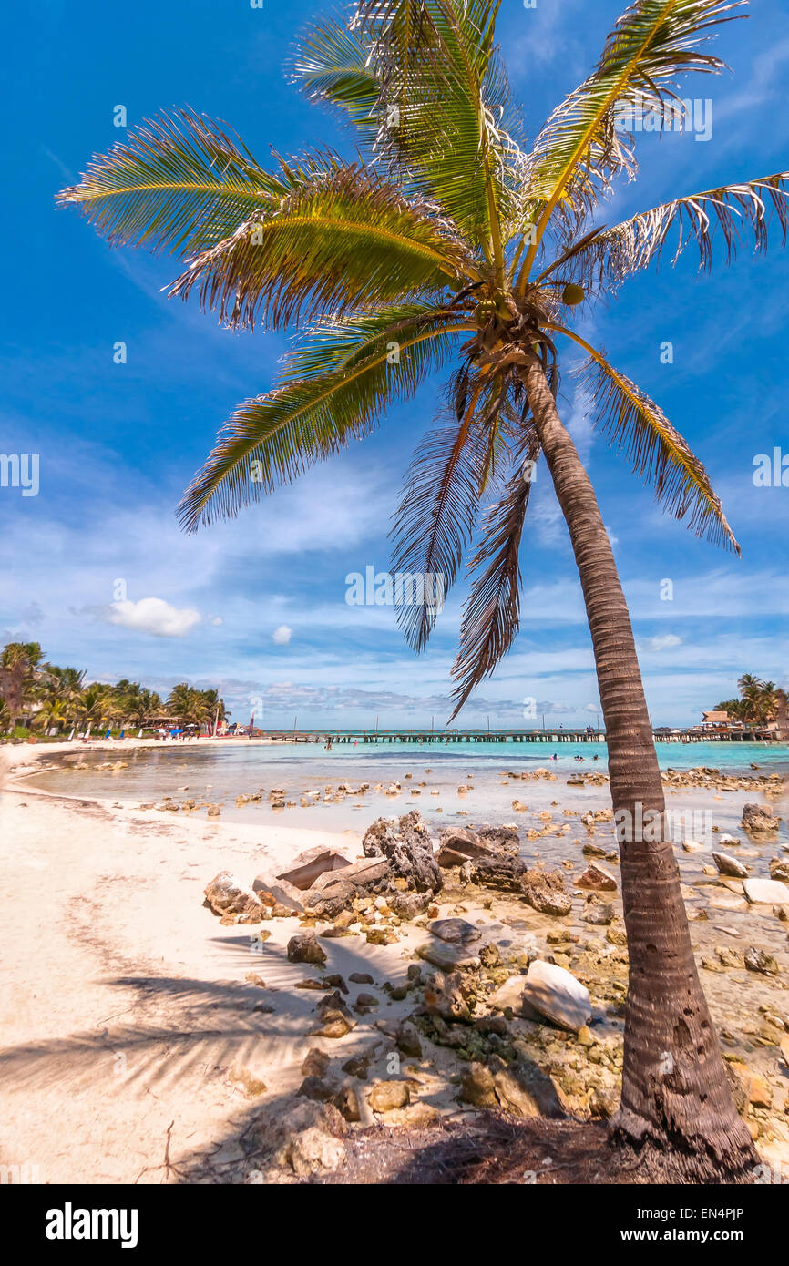 Isla Mujeres, Messico - 22 Aprile 2014: vista giorno di spiaggia con palm e il mare tropicale in Isla Mujeres, Messico. L'isola è locat Foto Stock