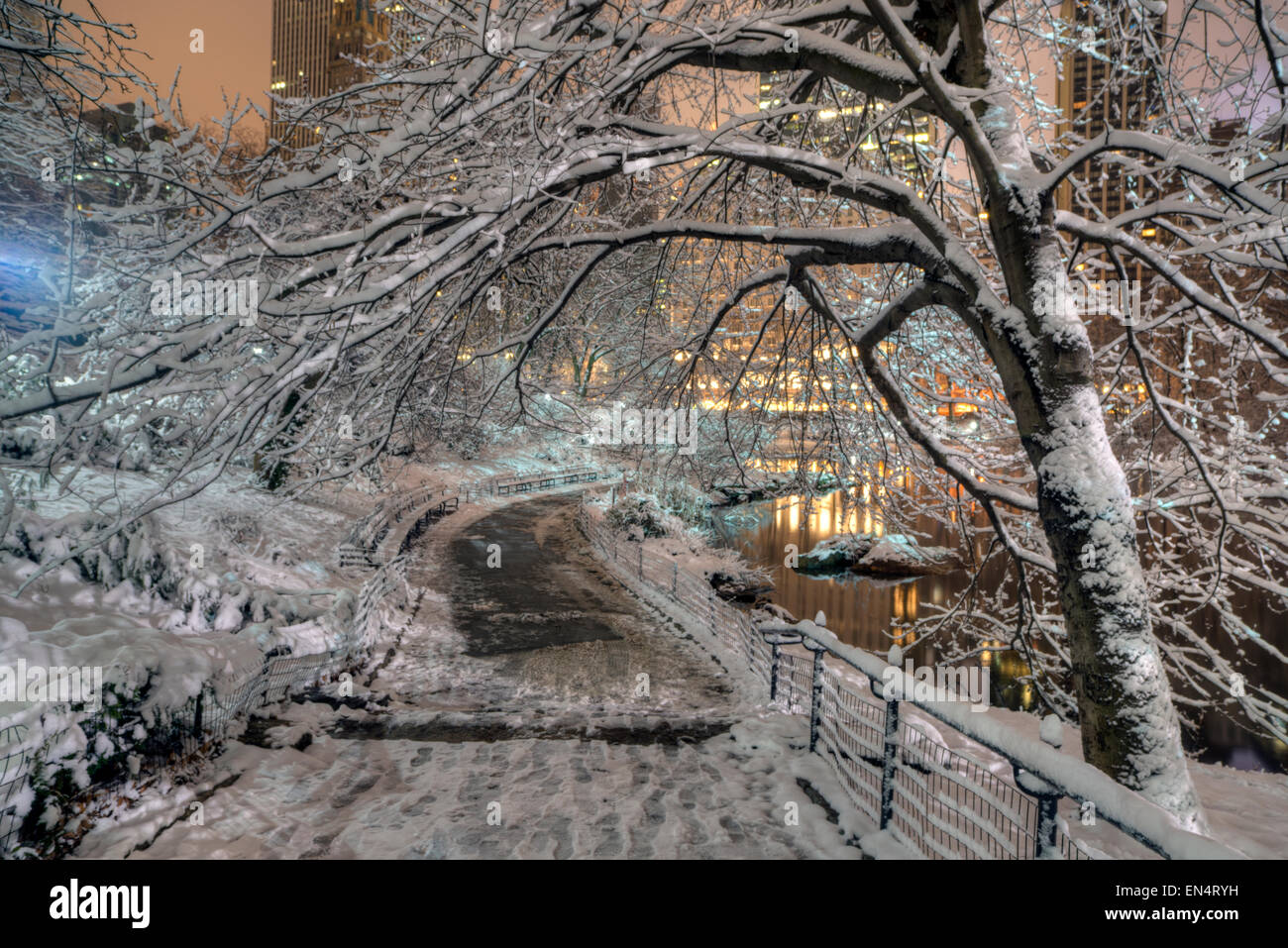 Il Central Park di New York City di notte Foto Stock