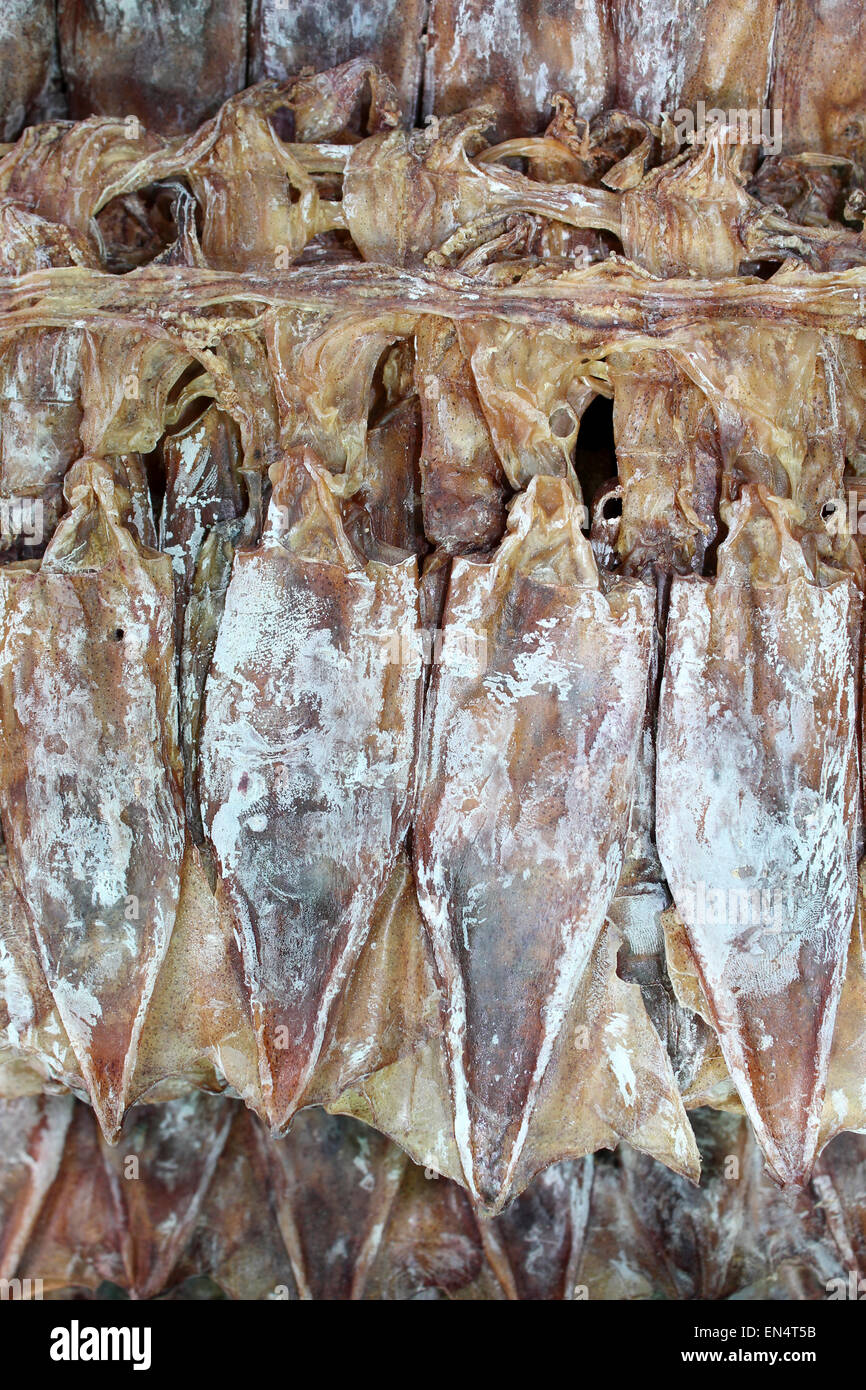 Calamari secchi / seppie in vendita al mercato di Bangkok Foto Stock
