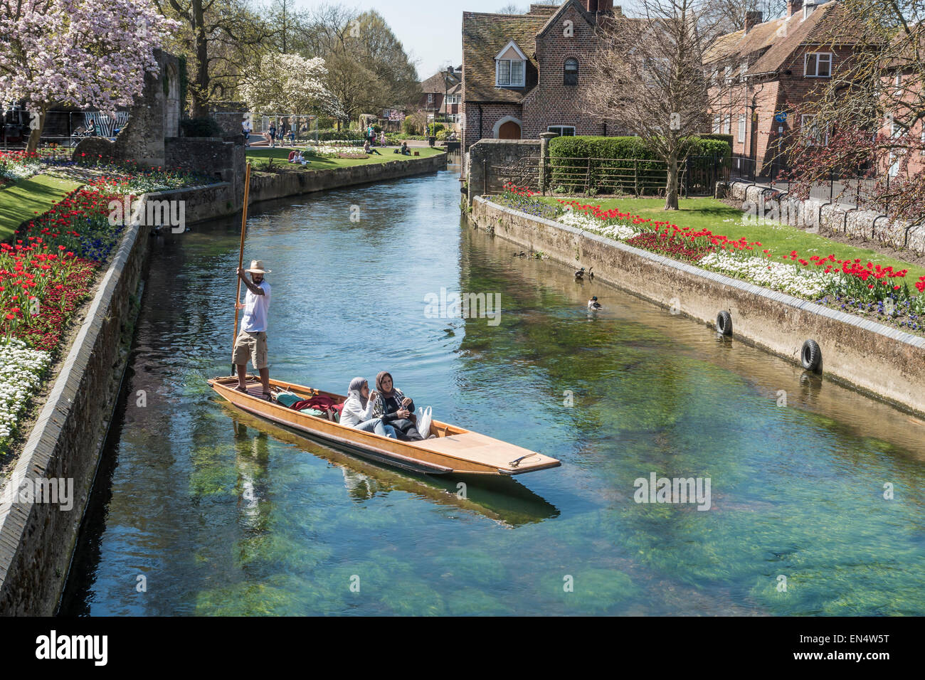 Westgate Gardens Canterbury nella primavera del Fiume Stour Punting Foto Stock