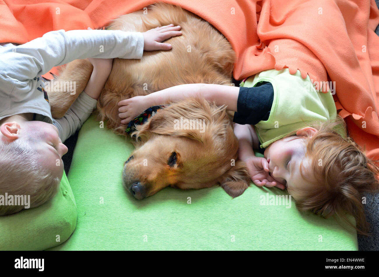 Asilo nido bambini coccolare durante una pausa con 'Balu', un retriever, presso la struttura diurni per bambini "Froschkoenig' a Halle, Germania, 24 marzo 2015. "Balu' è l'asilo nido il proprio cane ed è stato appositamente addestrato come parte di un linguaggio e di integrazione" programma, sostenuto dal Ministero tedesco degli Affari Familiari, per favorire lo sviluppo del linguaggio dei bambini negli asili e scuole. Foto: Waltraud Grubitzsch/dpa Foto Stock