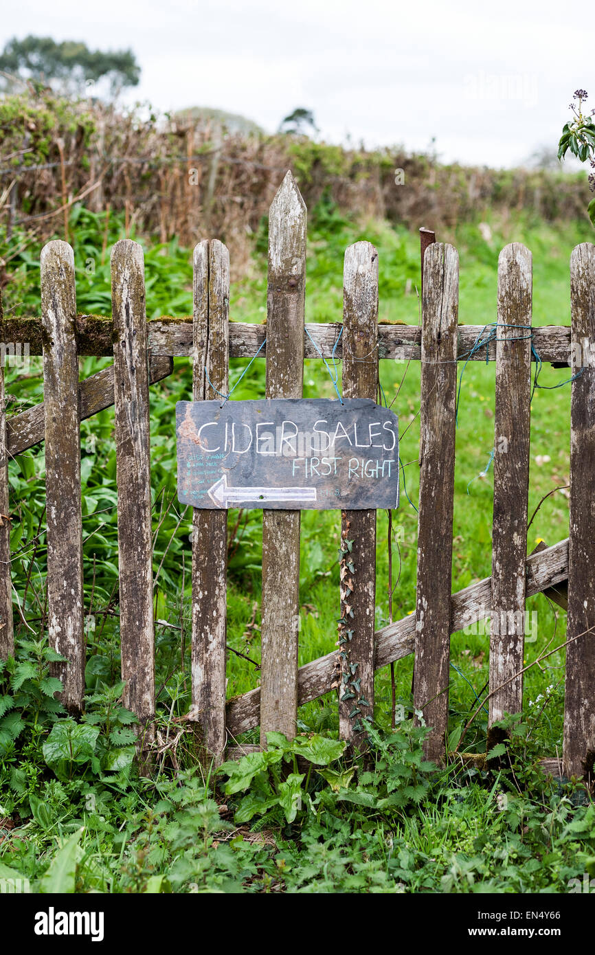 Il sidro di mele sales,produttore di scrumpy, spumanti, agriturismo e sidro. Il sidro & Perry è una celebrazione unica della nostra frutta nazionale. Foto Stock