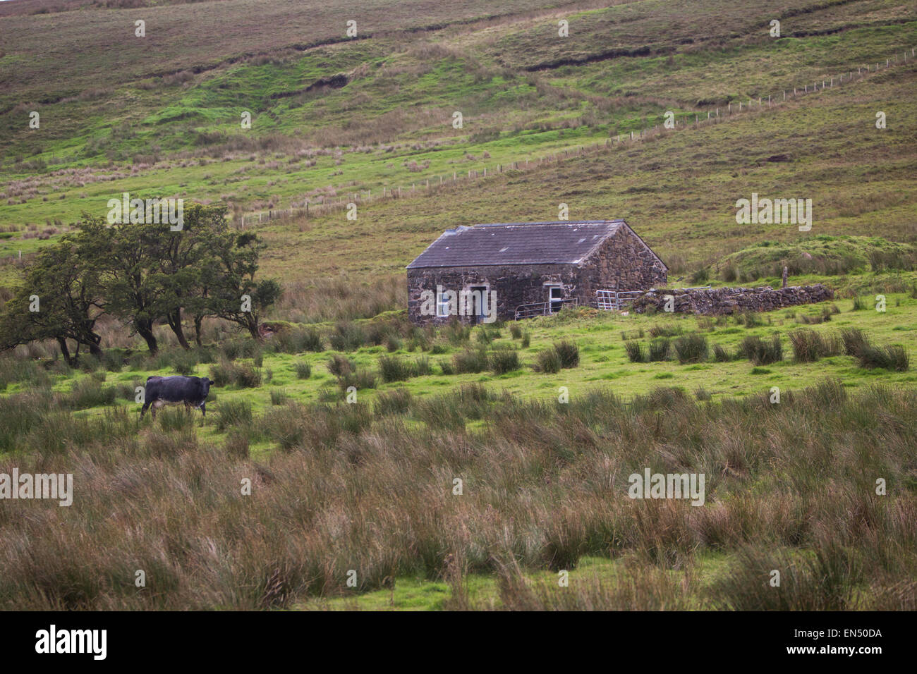 Cottage in Irlanda del Nord Foto Stock