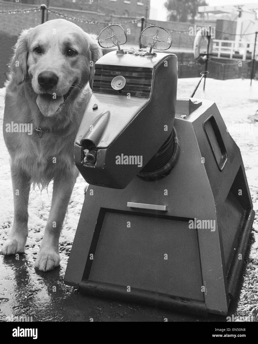 K9, il cane robot in la serie televisiva della BBC Dr Who, visto qui riuniti Robert la Spillers il cibo per cani cane faccia whos vende oltre mezzo milione di pacchetti di Companys i prodotti una settimana. La coppia sono stati portati insieme a celebra la ferma il suo cinquantesimo anniversario. 21 Foto Stock
