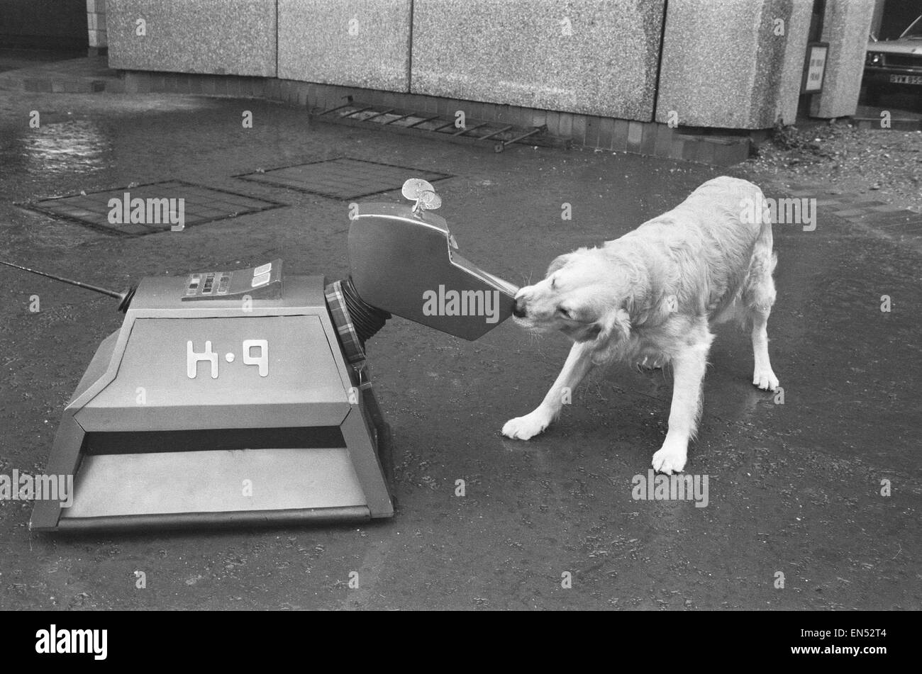 K9, il cane robot in la serie televisiva della BBC Dr Who, visto qui riuniti Robert la Spillers il cibo per cani cane faccia whos vende oltre mezzo milione di pacchetti di Companys i prodotti una settimana. La coppia sono stati portati insieme a celebra la ferma il suo cinquantesimo anniversario. Ro Foto Stock