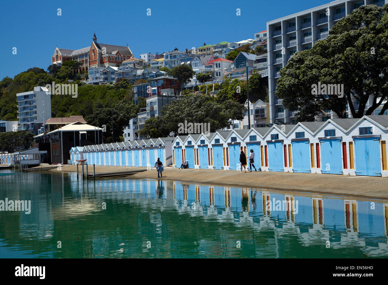 Boatsheds, Clyde Quay Marina, Wellington, Isola del nord, Nuova Zelanda Foto Stock